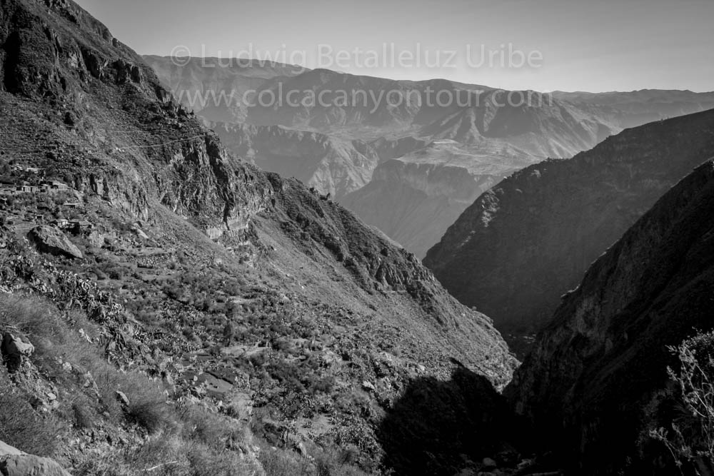 Fure Colca Canyon