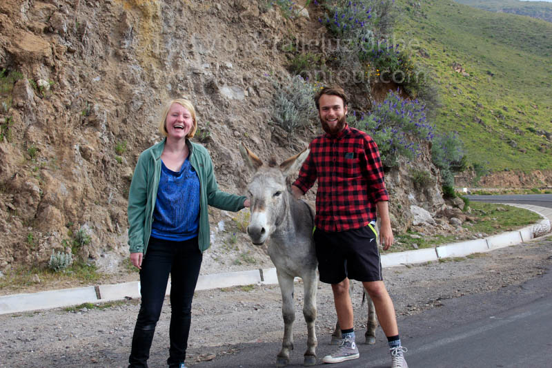 Mountain Bike Colca Canyon