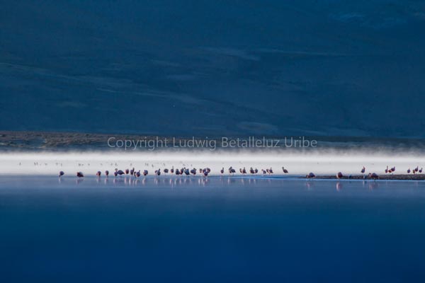 Mountain Bike Colca