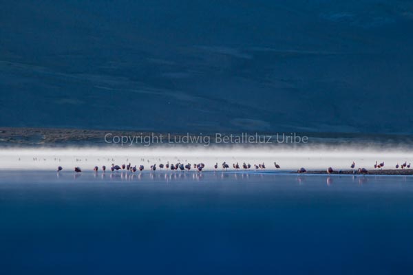 Mountain Bike Colca