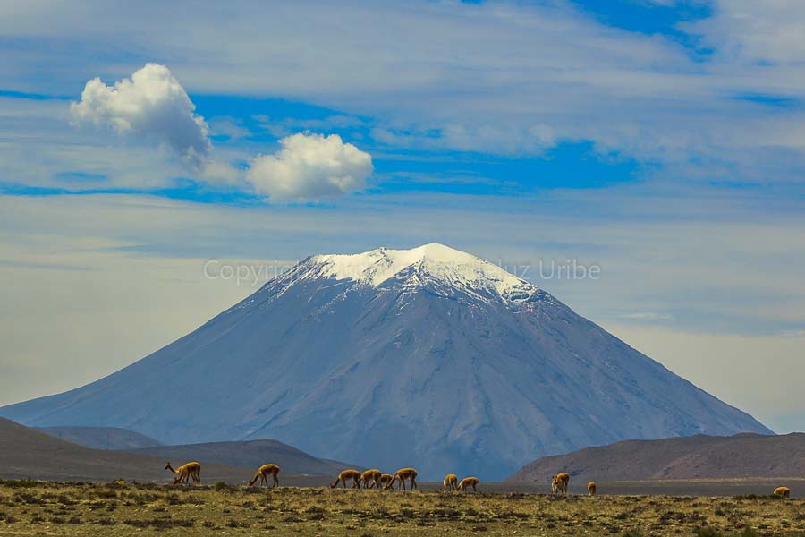 colca to puno