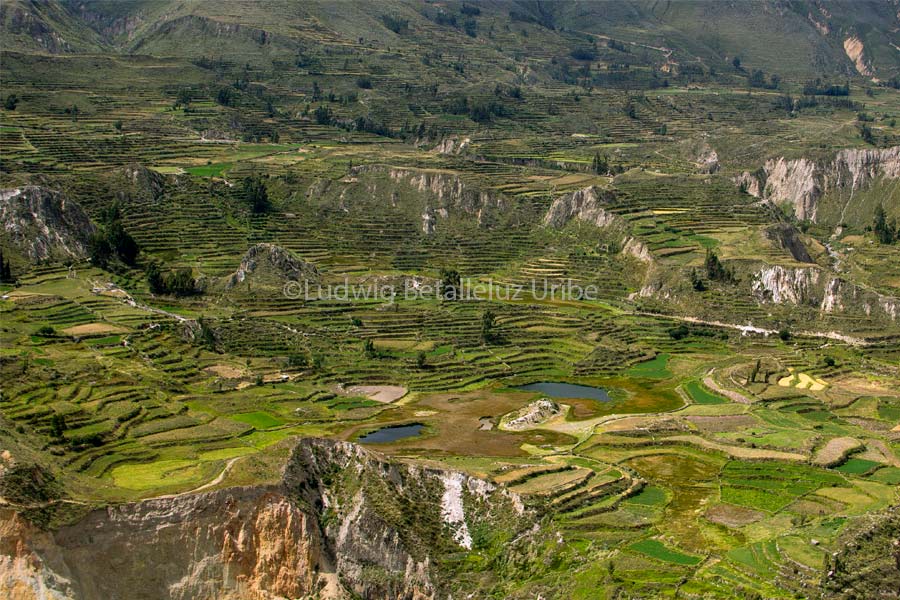 how to get from Cabanaconde to Puno
