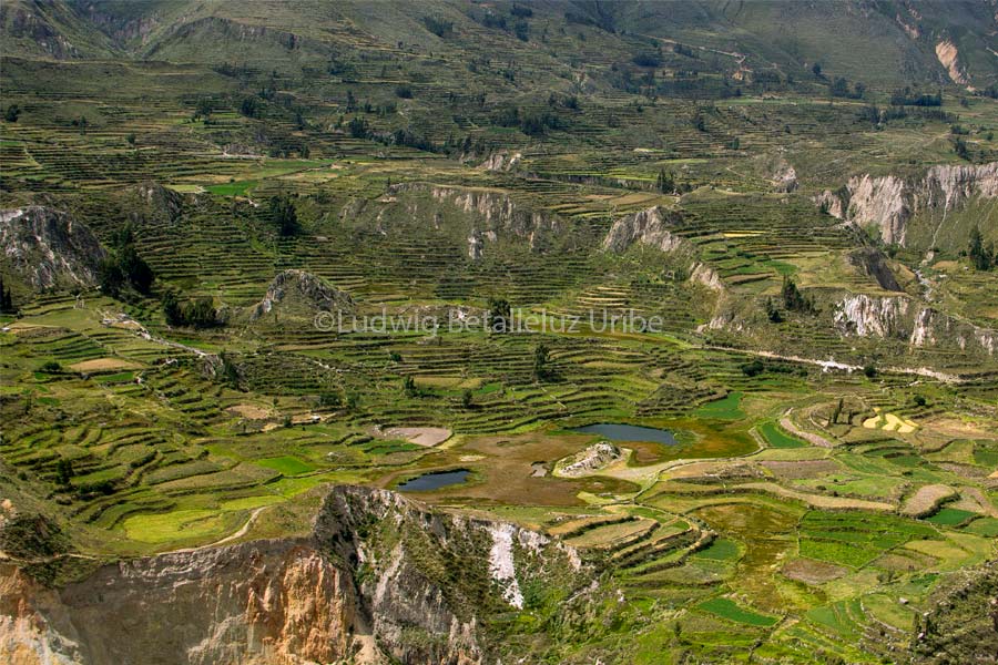 how to get from Cabanaconde to Puno