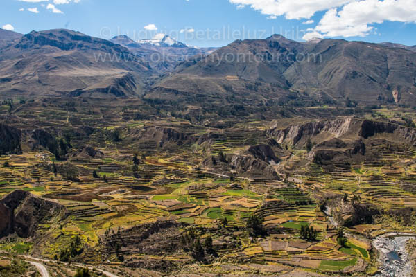 Colca Canyon Classic Tour