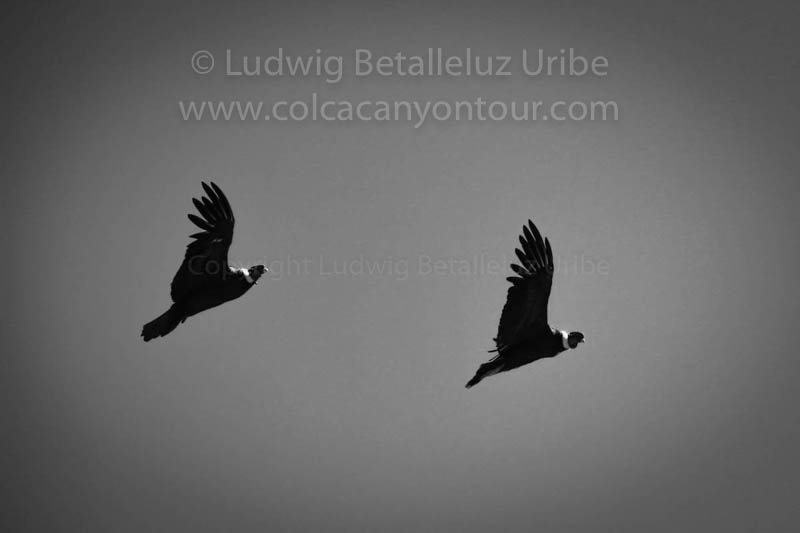 tour colca bike