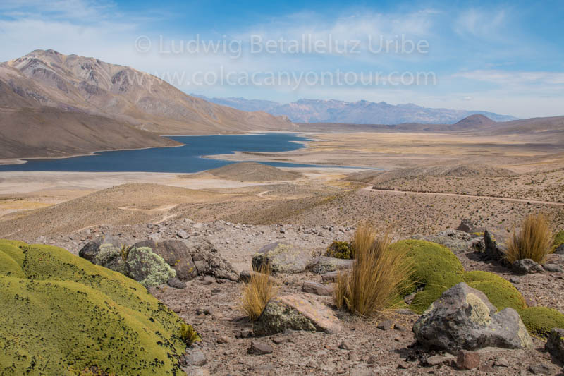 Trekking Hualca Hualca geiser