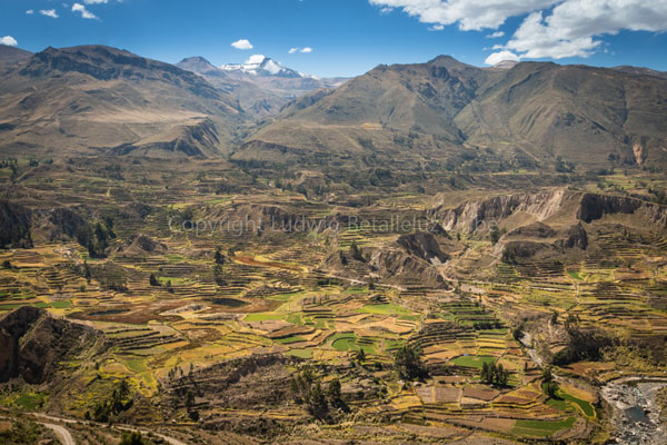 andean volcanoe