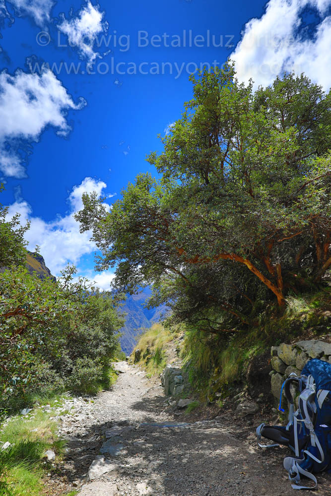 Photo view Inca trail