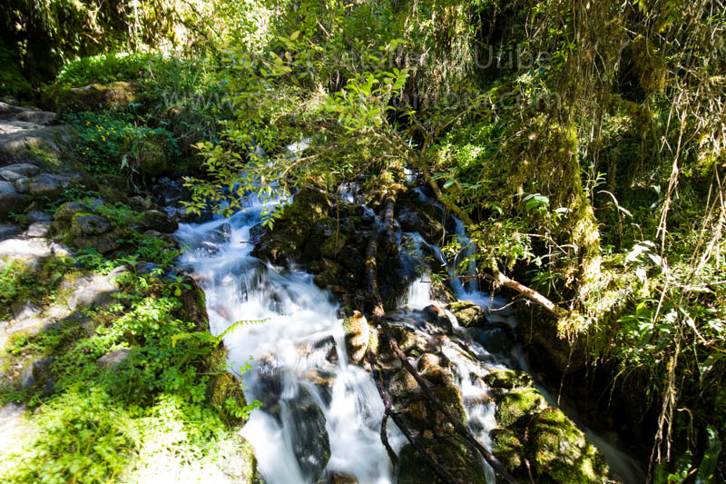 Inca Trail Photos Day 2