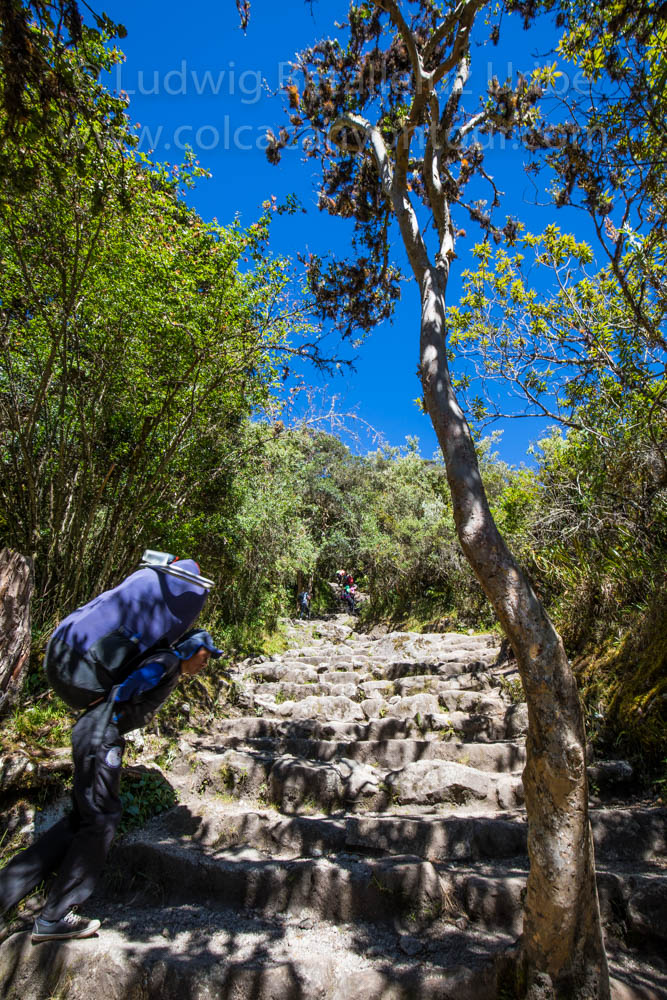 Inca Trail Photos Day 2