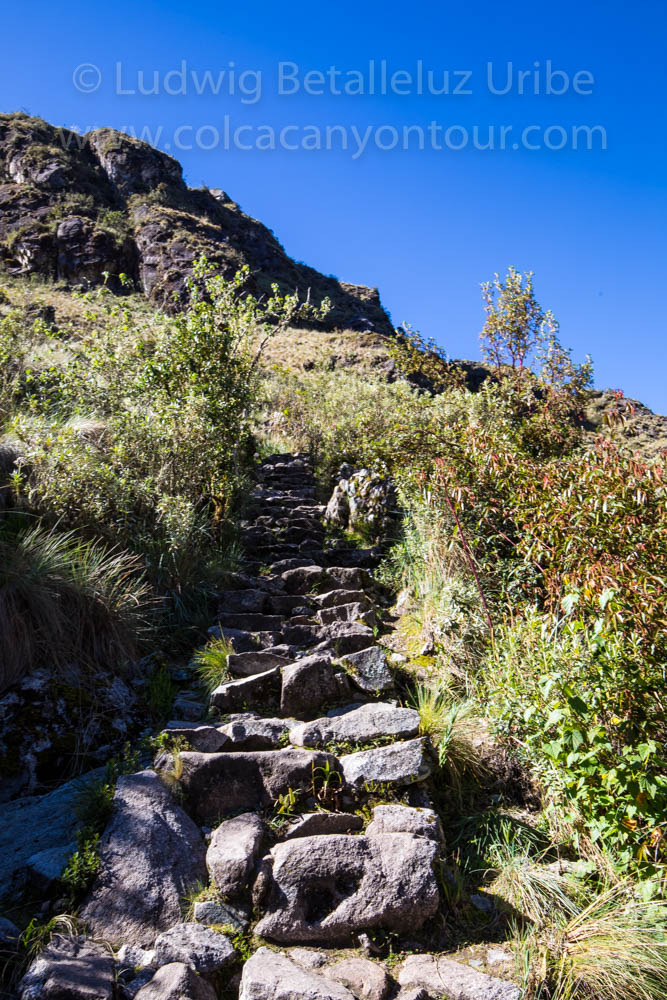 Stairs of Inca Trail