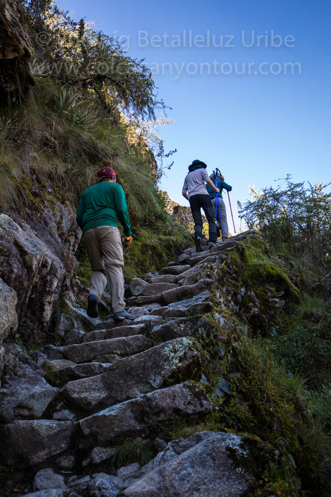  Sayamarka Ruins