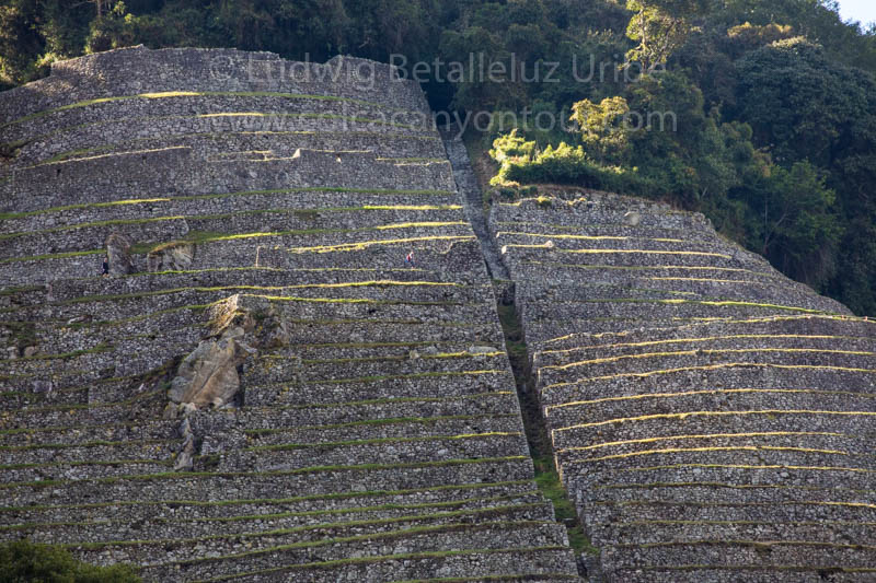 Wiñaywayna 