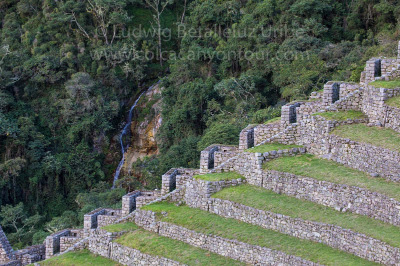 Wiñaywayna Ina Trail