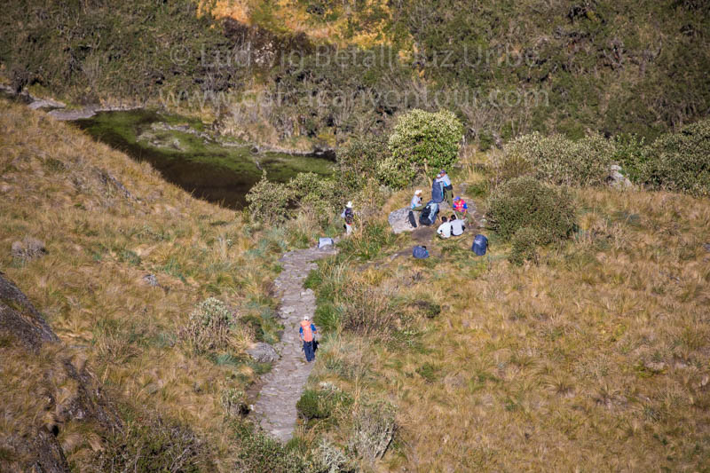 Trail at Inca Trail