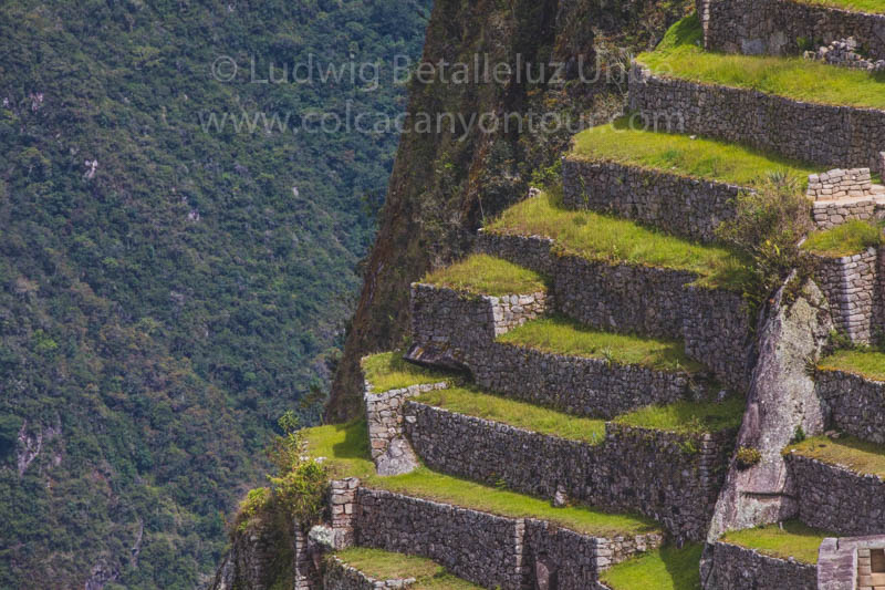 inca trail salkantay 
