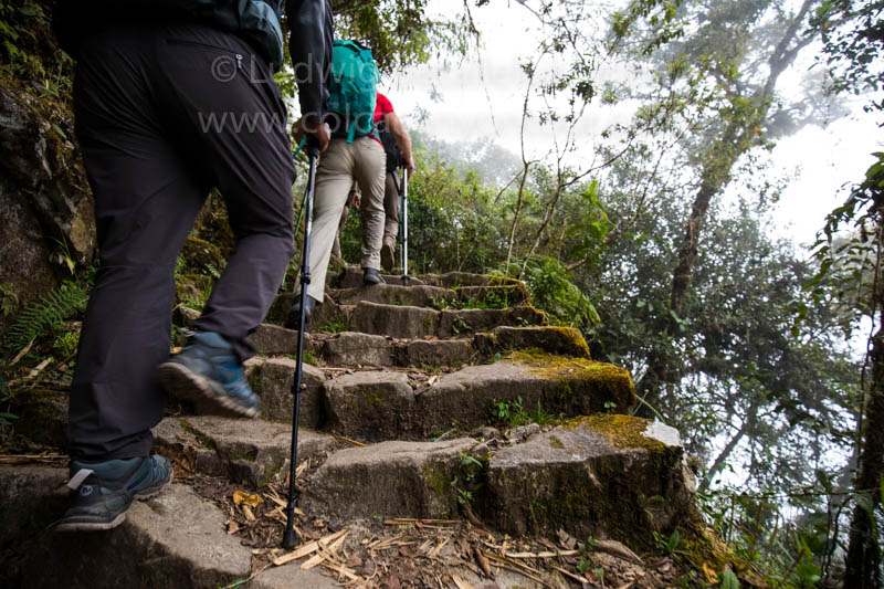 Porters at Inca Trail