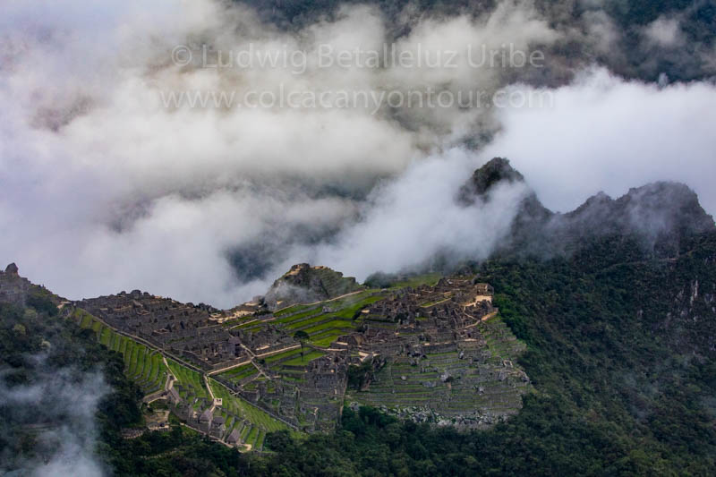 Inca Trail Wiñaywayna 