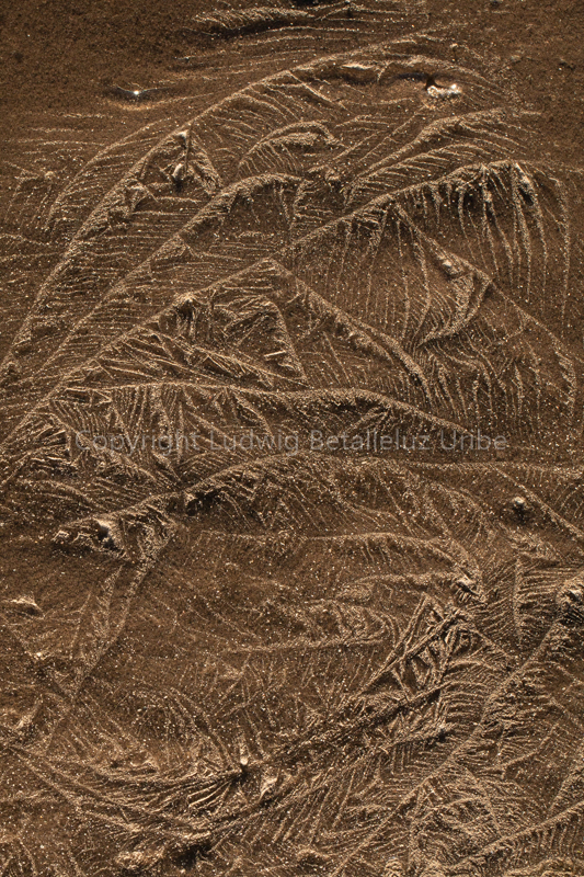 Frozen Texture - Mucurca Lake ©lrbu