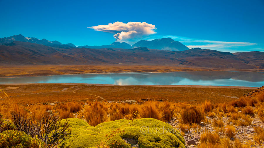 trek 1 day colca