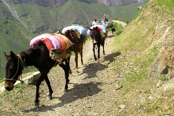 Colca Canyon Oasis