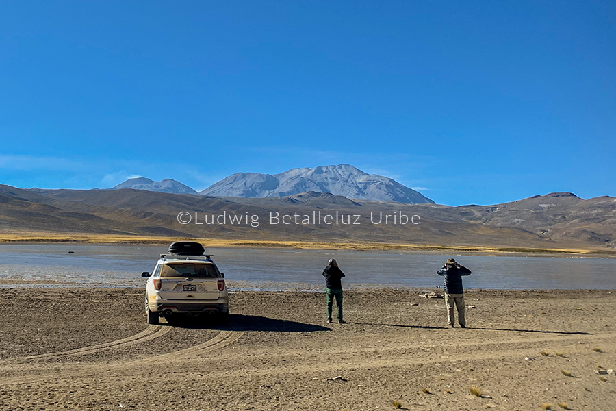 Bus Llahuar colca