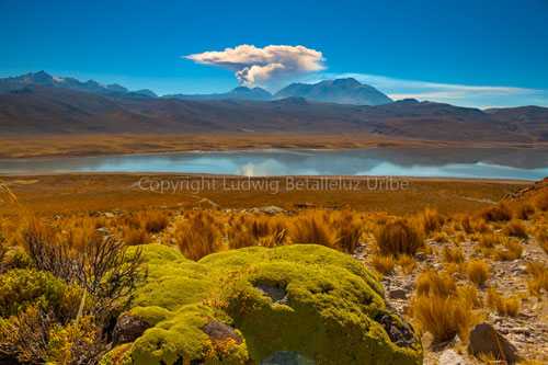 colca canyon tour mucurca