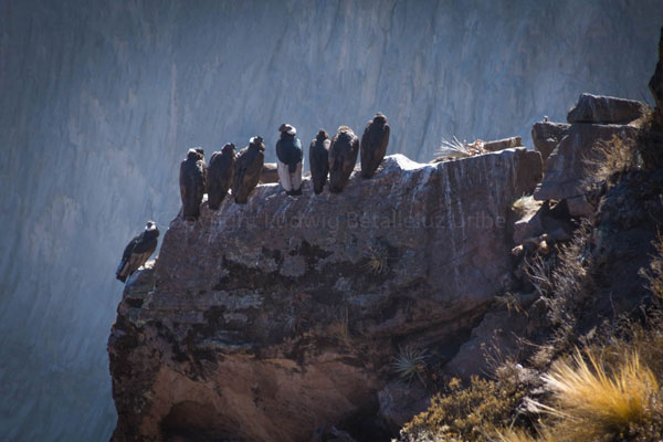 trek colca  3 days  