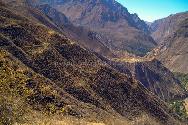 Best Trekking Tour Colca