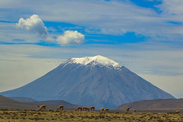 Best Trekking Tour Colca