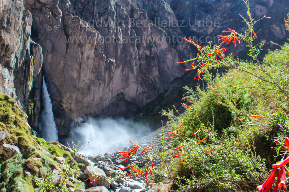 Trail to Fure Llahuar