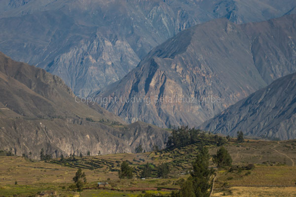 trekking llahuar colca canyon